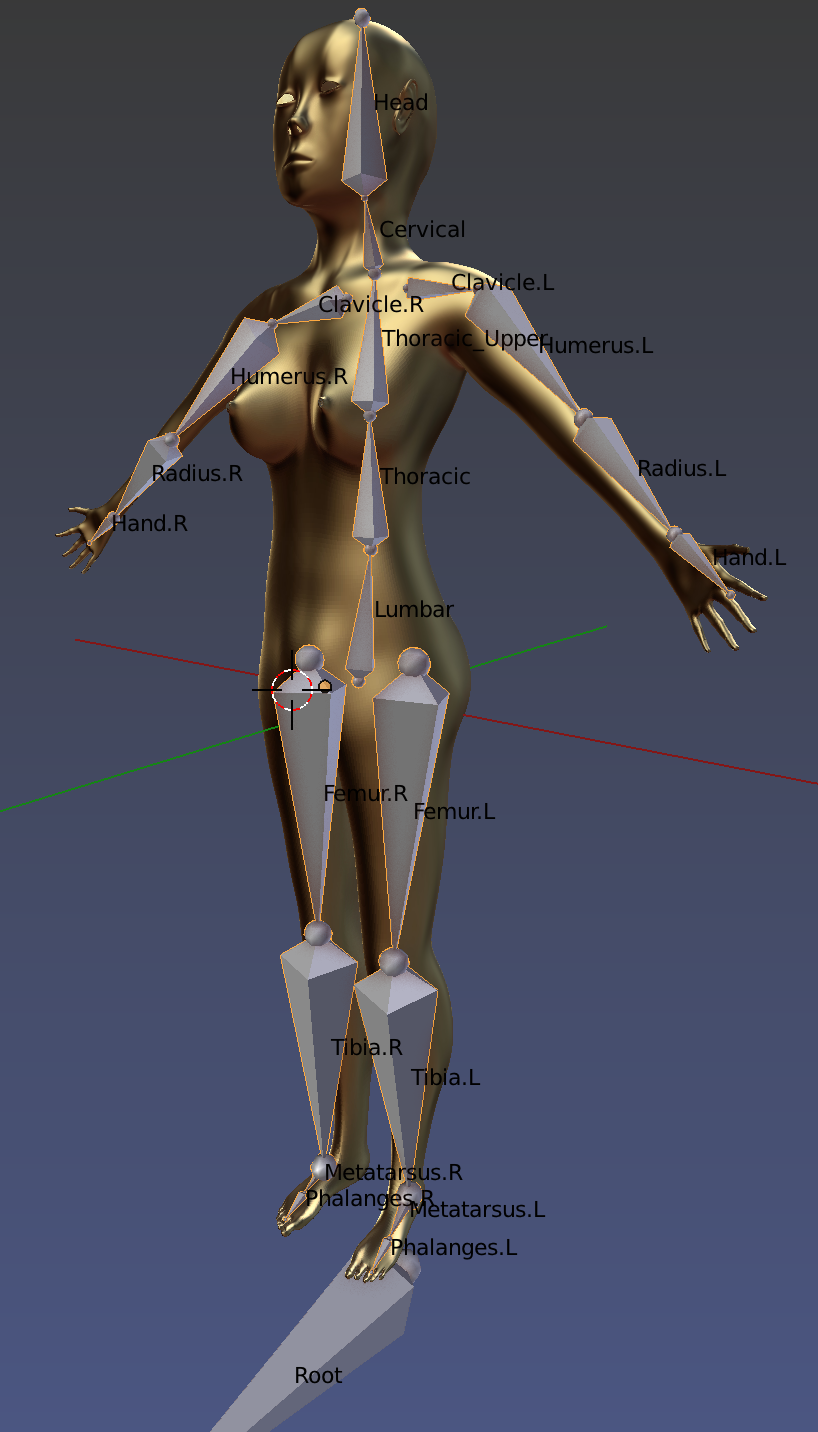 Character Rig